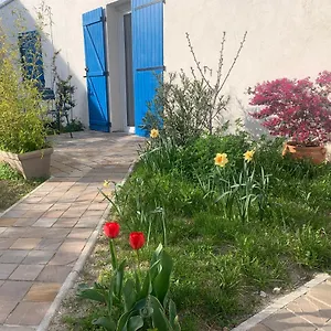 Maisonnette De Jardin Appartement